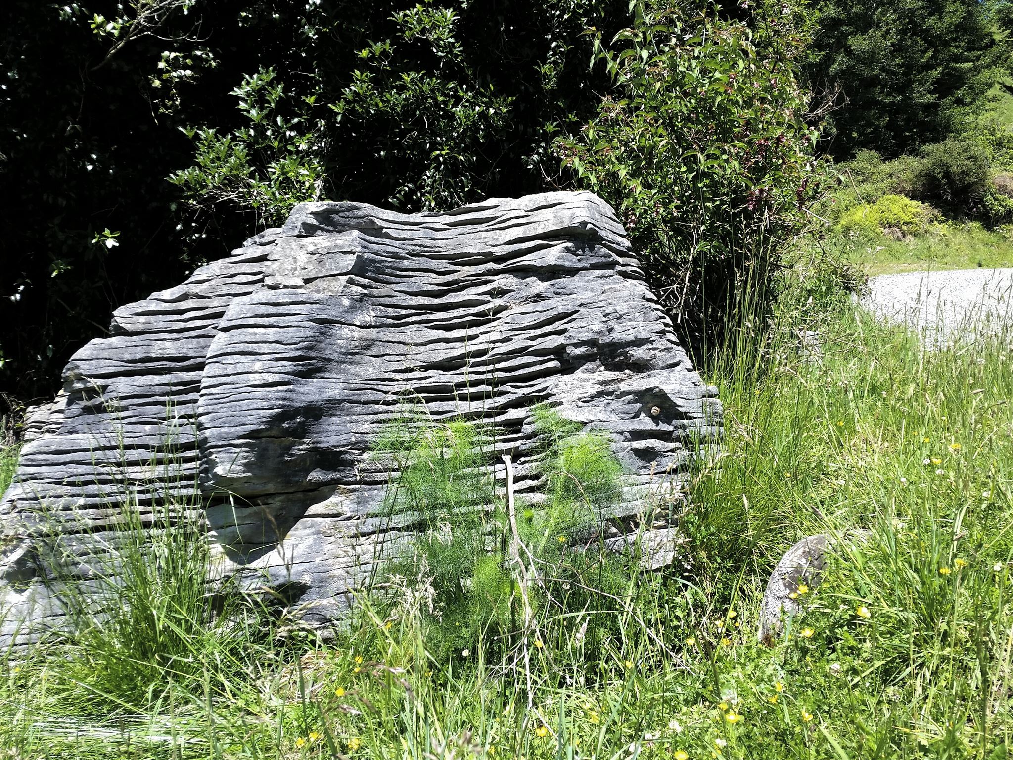 Weathered limestone rock