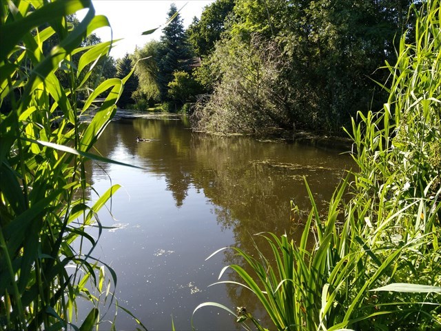 Blauwe Verbinding ~ Dam