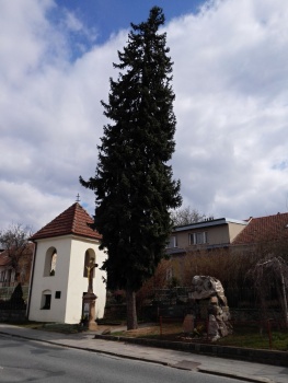 Mokrá Hora - Tumaňanova