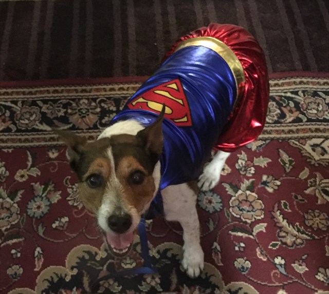 Super Bella!