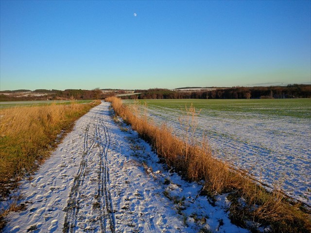 Cesta na mesic