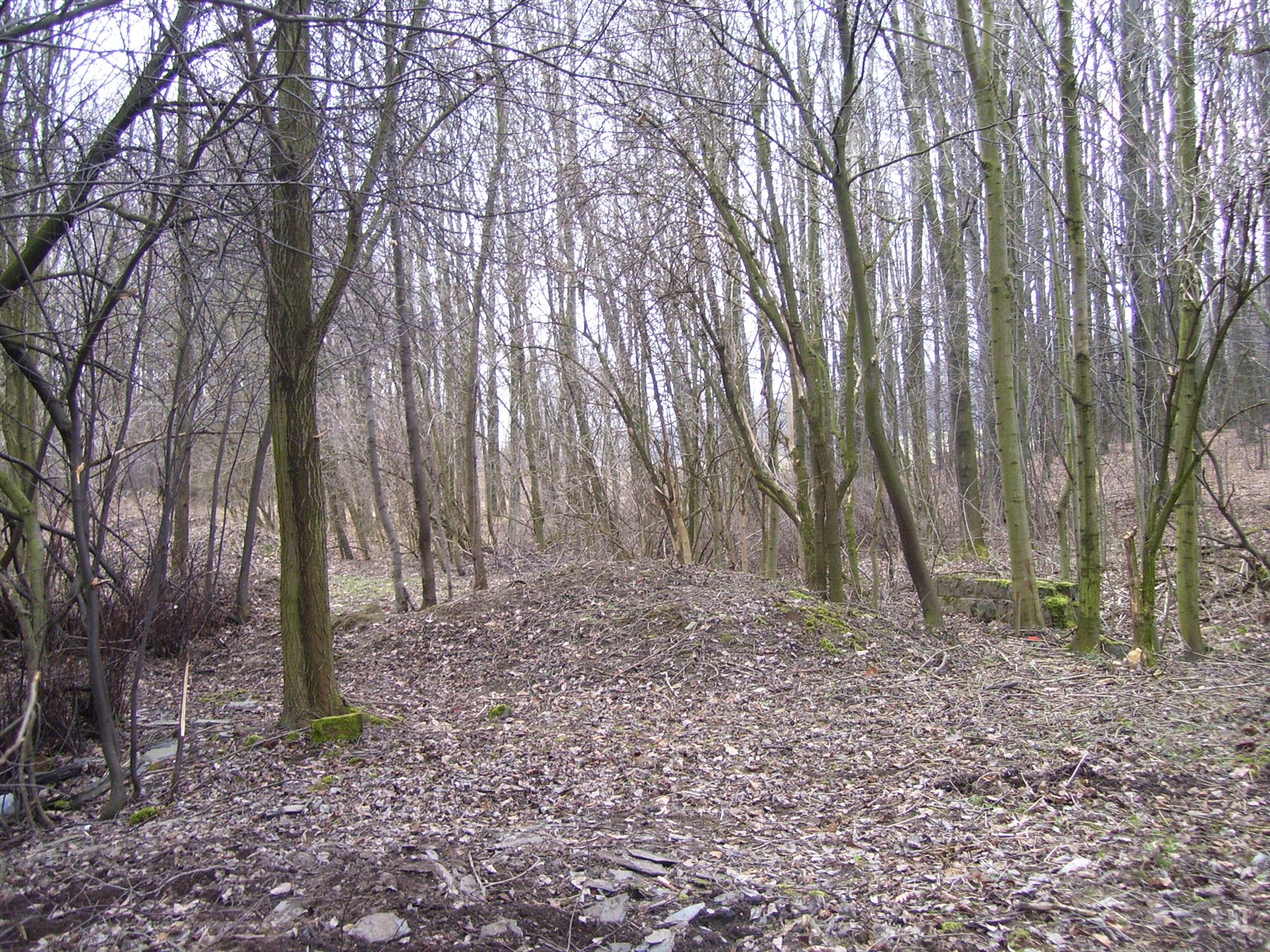 Železná brána dne 26. února 2014. Foto TintinCZ.