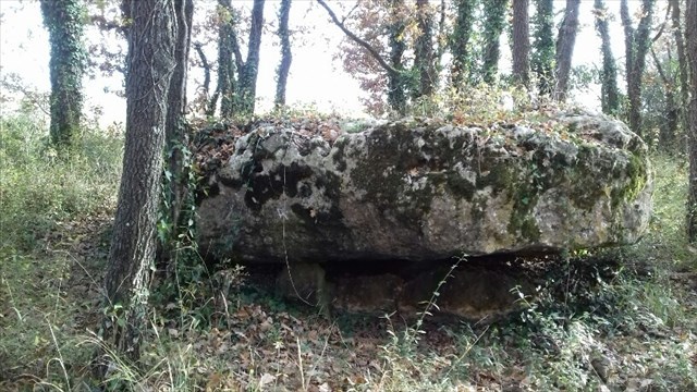 Dolmen de le Pierre à Pineau