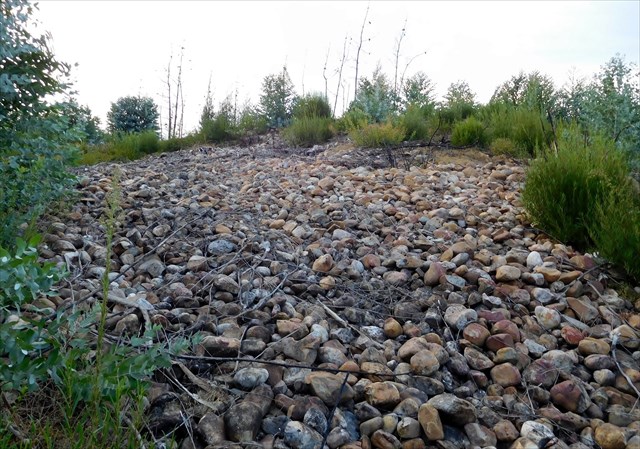 Parte principal da conheira 