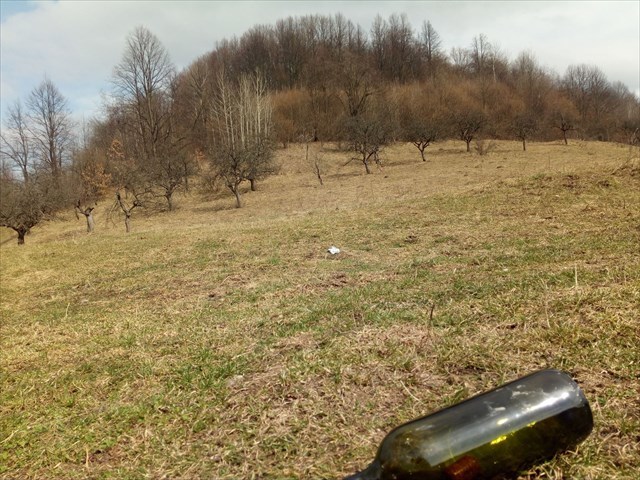 jablone
