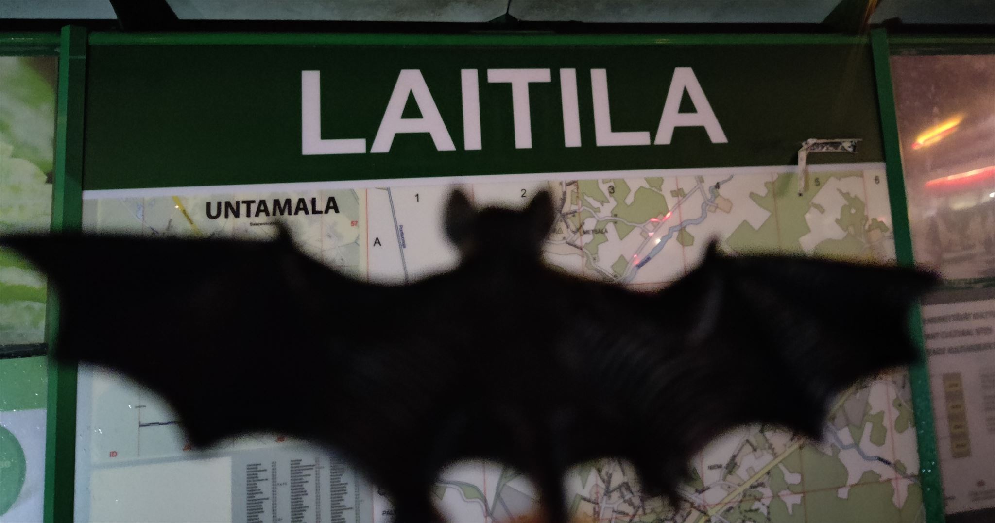 Laitila