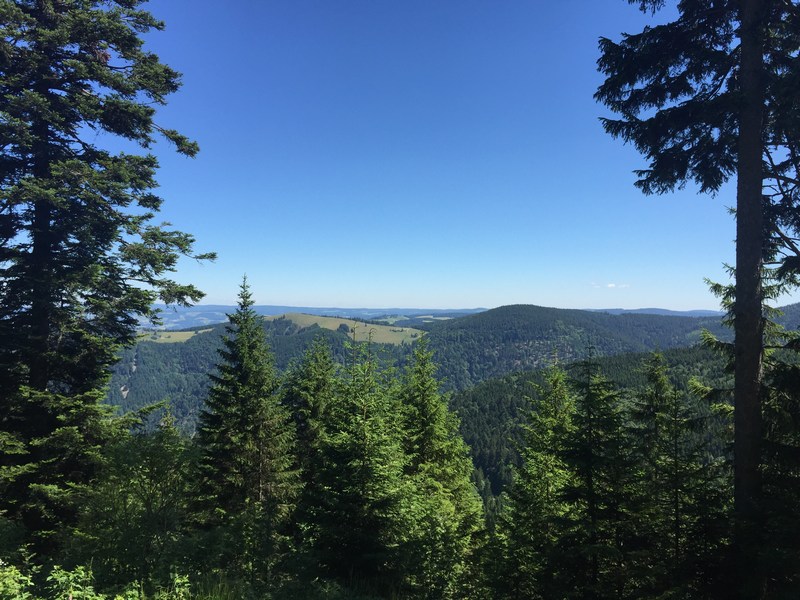 Hier ist der Ausblick