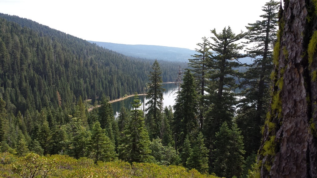  photo 20150819_105201.jpg