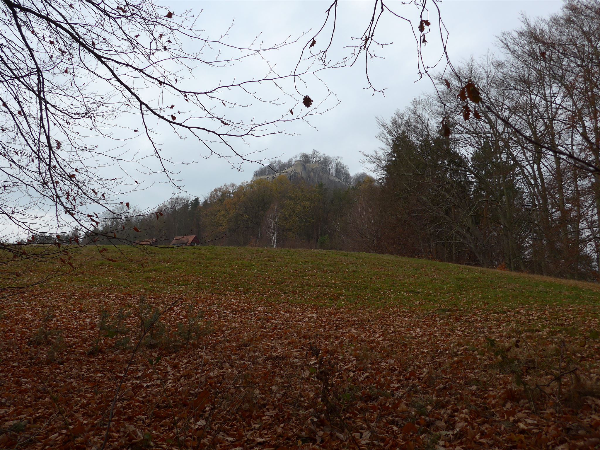 Blick zur Königsnase (in der Nähe der Bank)