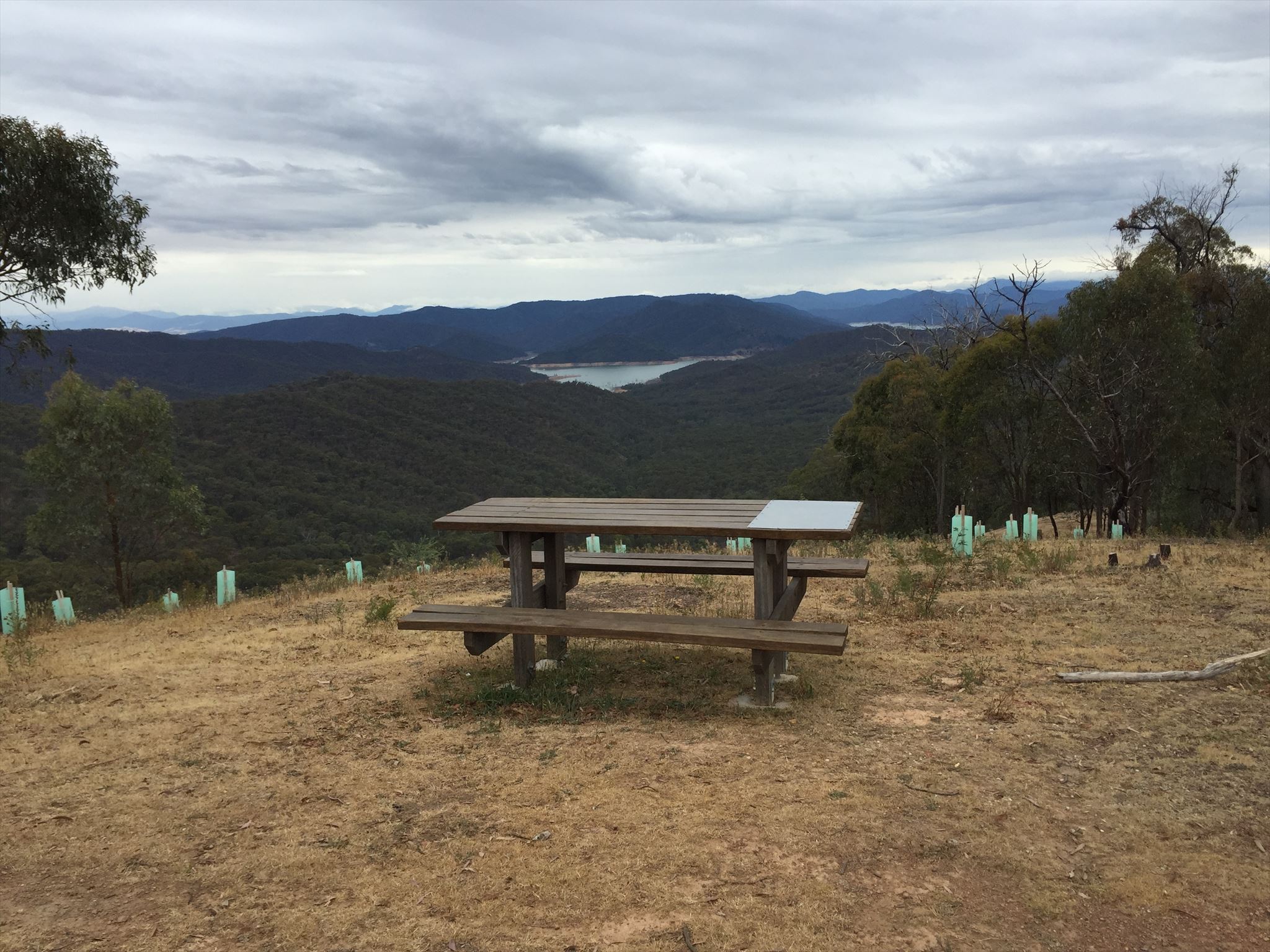  photo 29d2587b-d7cd-4dc1-aa98-e4c74550074f.jpg