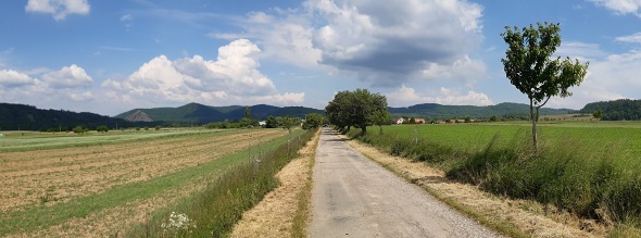 Mileč