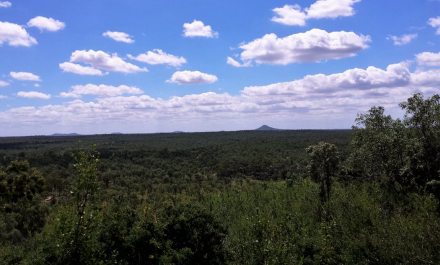 Contact me if no Image