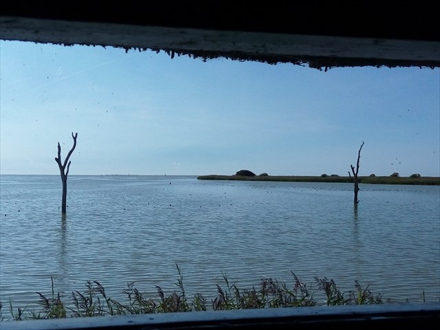 Zicht uit de vogelkijkhut De Ral