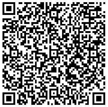 QR Code V2