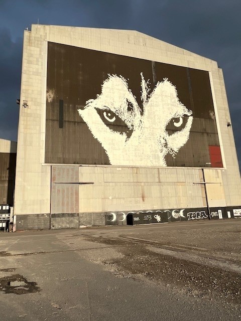 2b492dd8-93a6-4060-9827-6dc9c17df977_l.jpg (480×640)