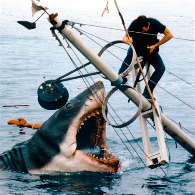 JAWS