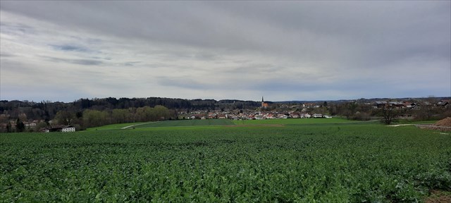 Schöne Aussicht vom Schneckenberg 
