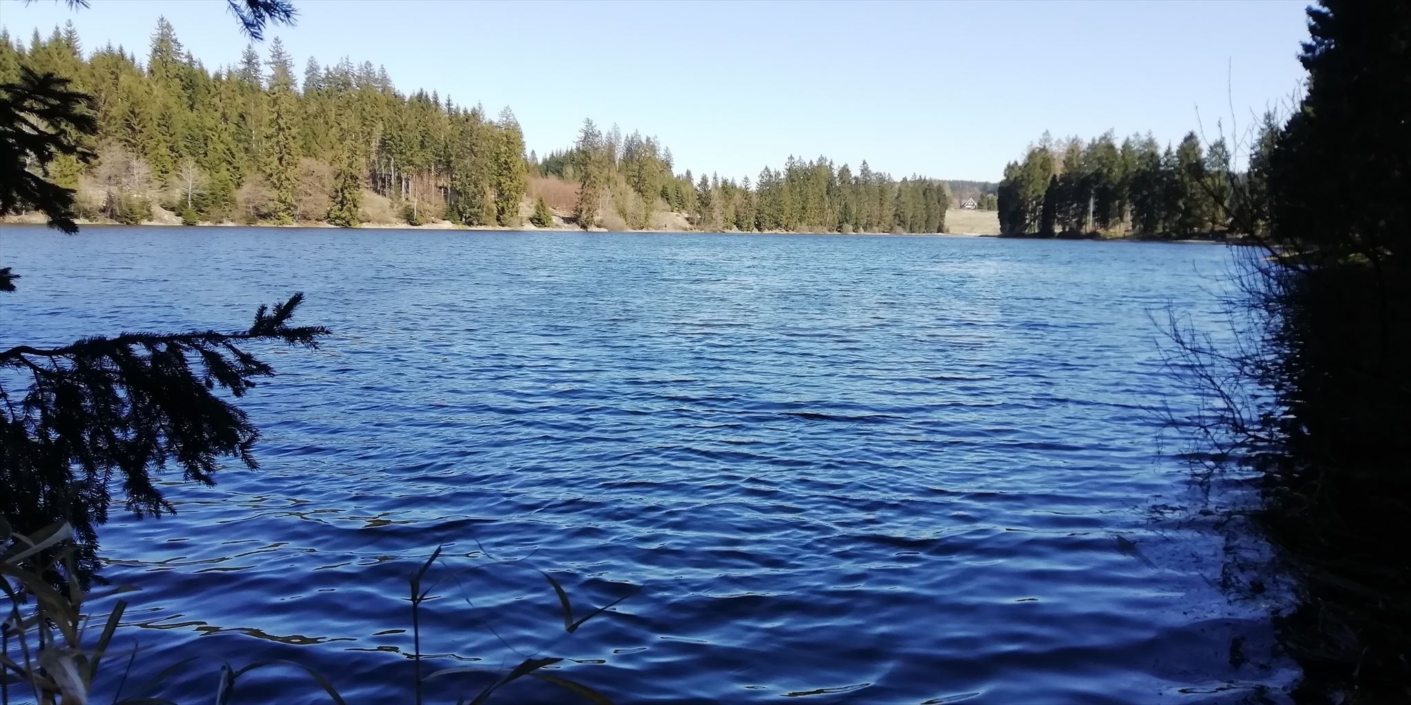Der Prinzenteich bei Buntenbock im Harz