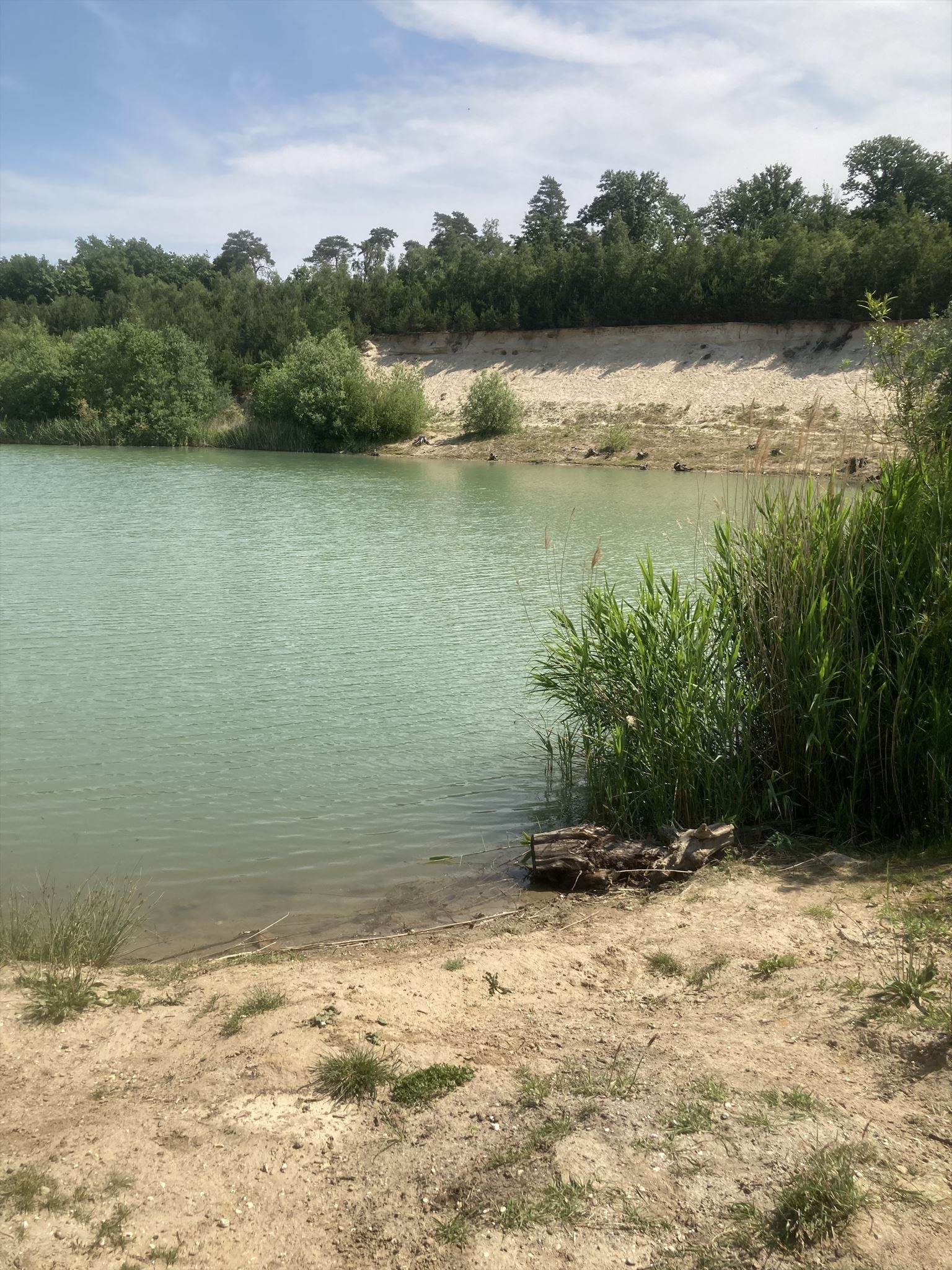 Natuurbeleven Holtmuhle