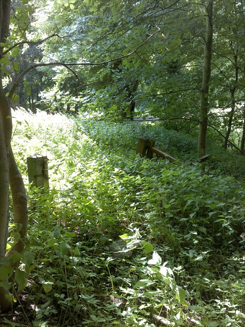 Der var engang en sti./ Hier war mal ein Weg./ Once here was a path