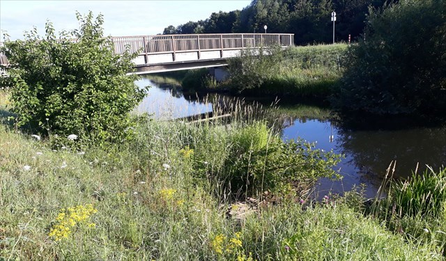 Rapphofs-Mühlenbach Brücke