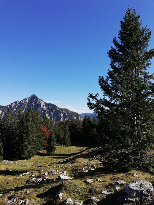 Schau umi zum Rinnkogel