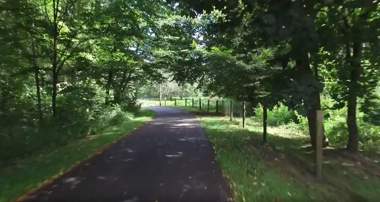 Vroege Vogelbos en het aansluitende Beginbos Vroege Vogelbos en het aansluitende Beginbos