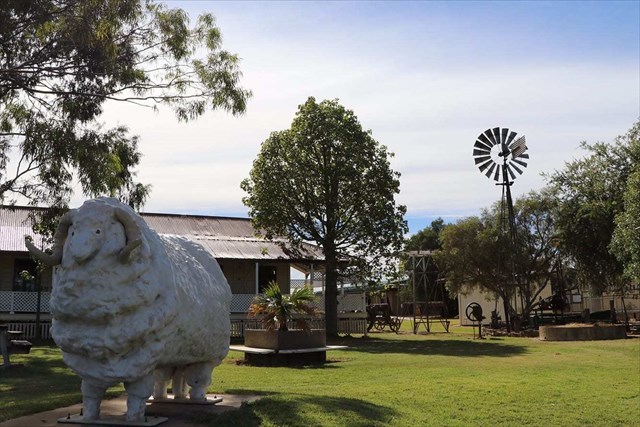 Contact me if no Image