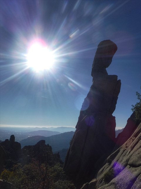 Mongote de los Suicidas