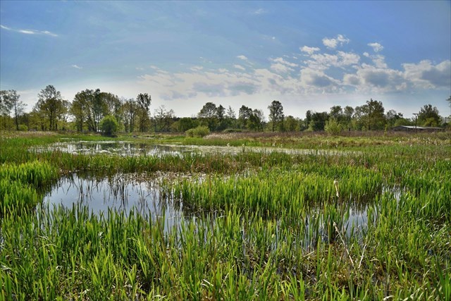 Nádrž s protipovodňovým valem