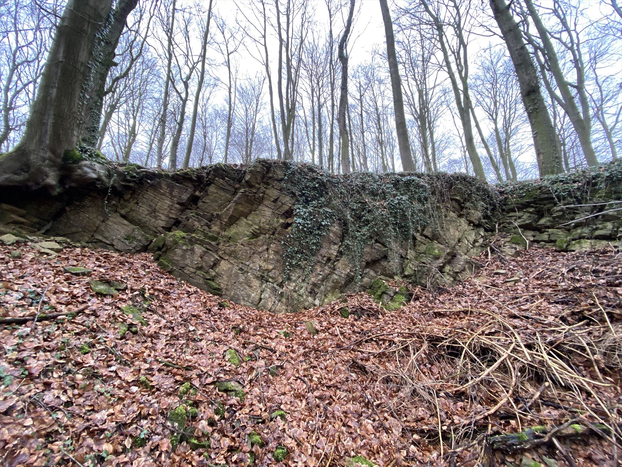 Terebratelkalk Terebratelkalk