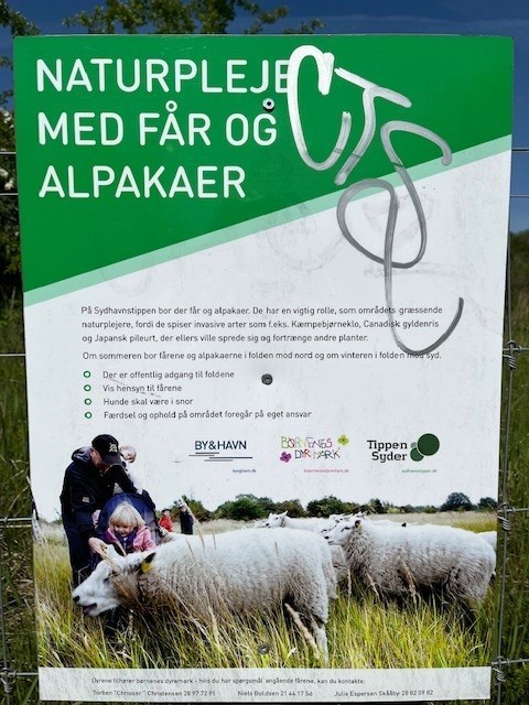 2e15829a-15f9-443c-bc25-fb422bc1cb73_l.jpg (480×640)