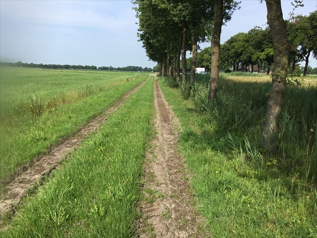 landweg