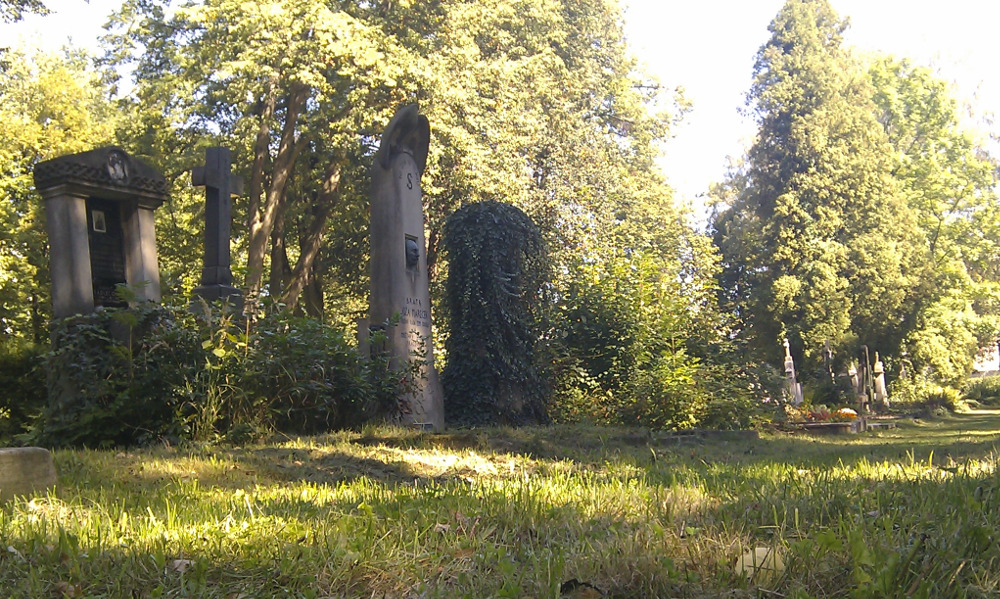 Starý hřbitov v létě