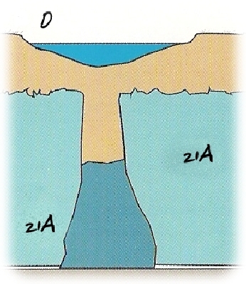 Verlandung / aggradation