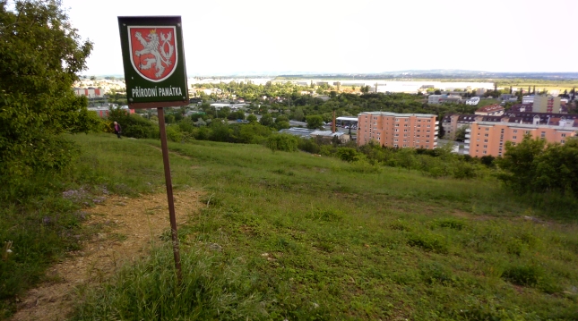 Přírodní památka Bílá hora