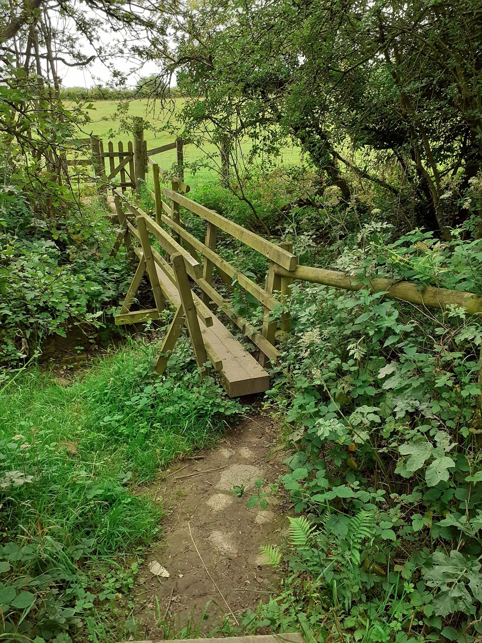 GC8XBHF Little Bridges 1966 Park Hall to Bell Lane (Traditional Cache