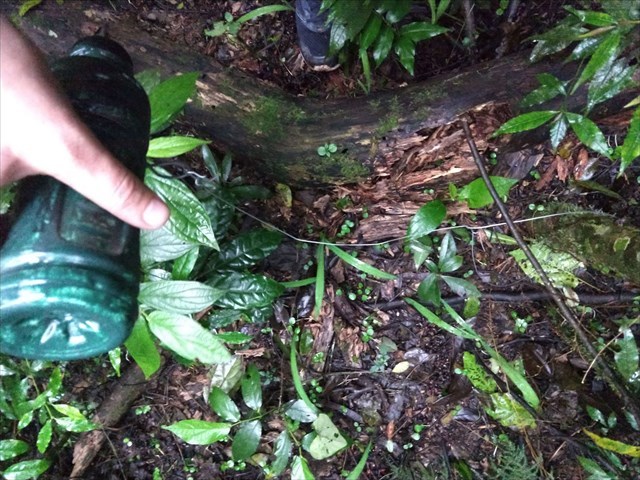 O geocache que tens que encontrar