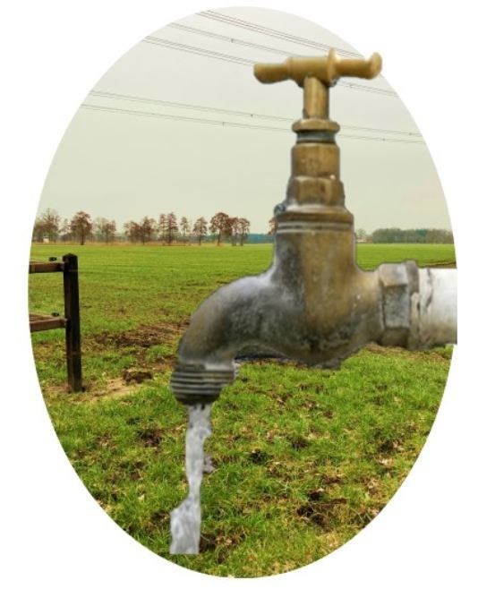 ooit kraan in t duin