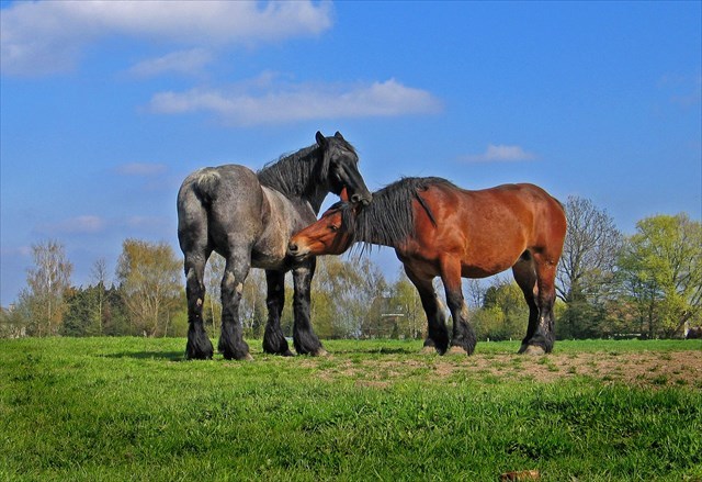 Pajottenland Pajottenland