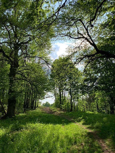 Marienhöhe - Vielen Dank an applause8503 für das schöne Foto
