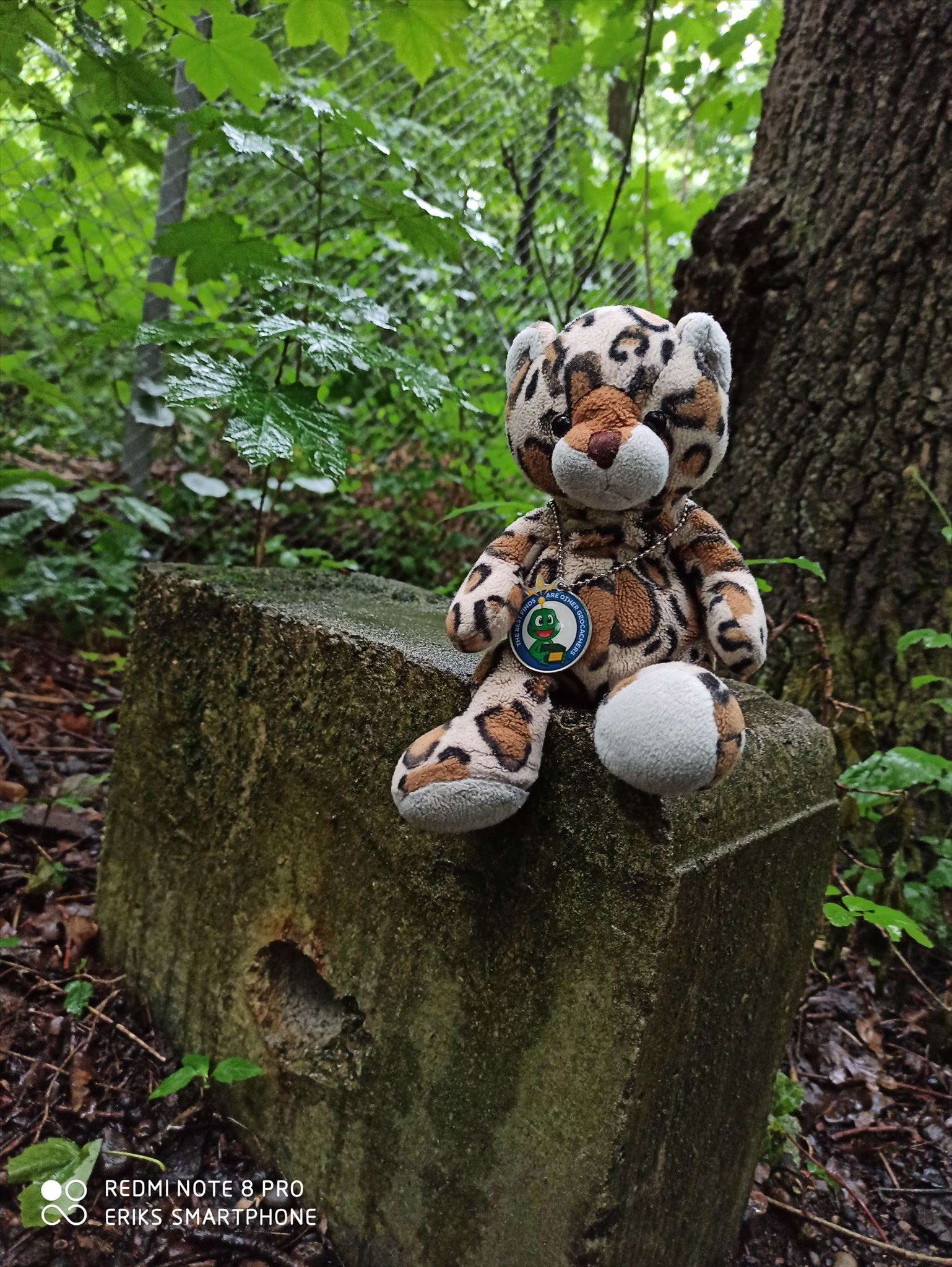 na wo hat er es versteckt?