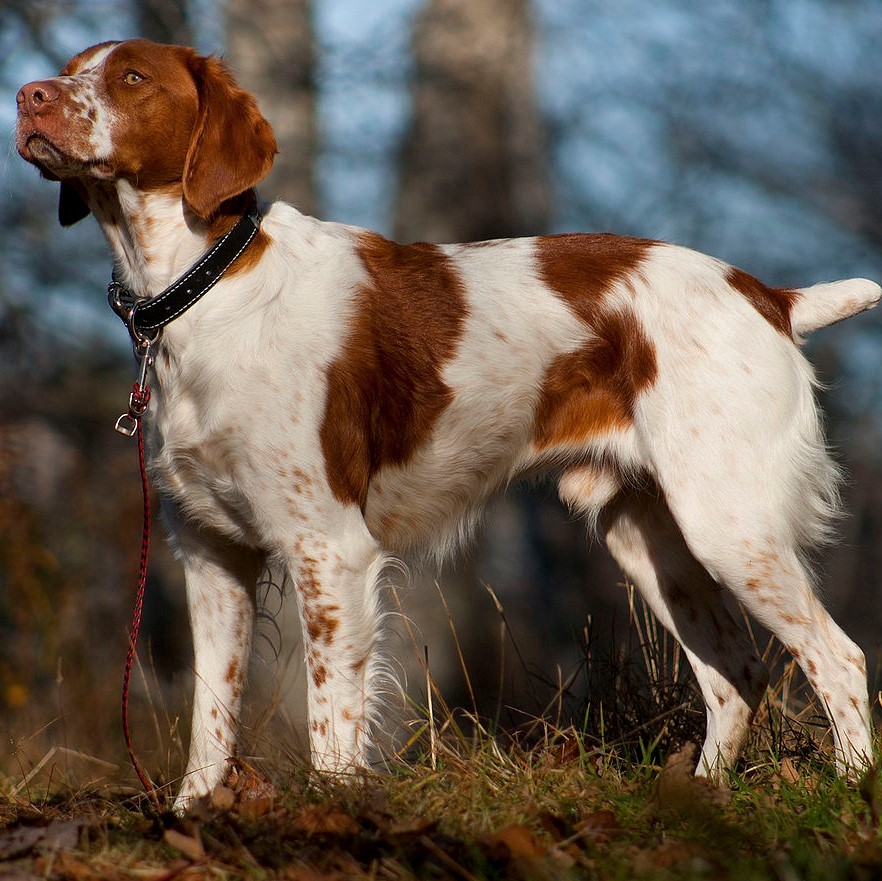 INSERT ALT TEXT HERE