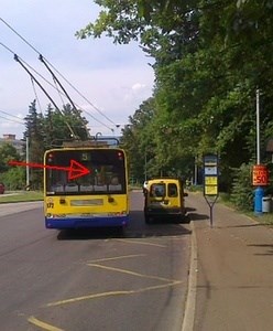 bus