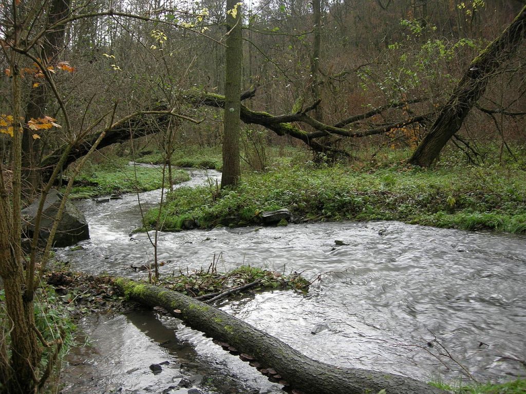 Údolí Únětického potoka