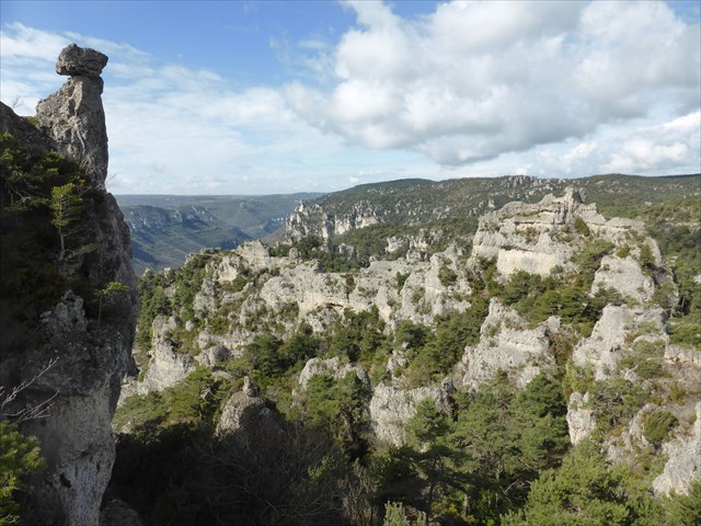 géocaching Montpeller-le-vieux