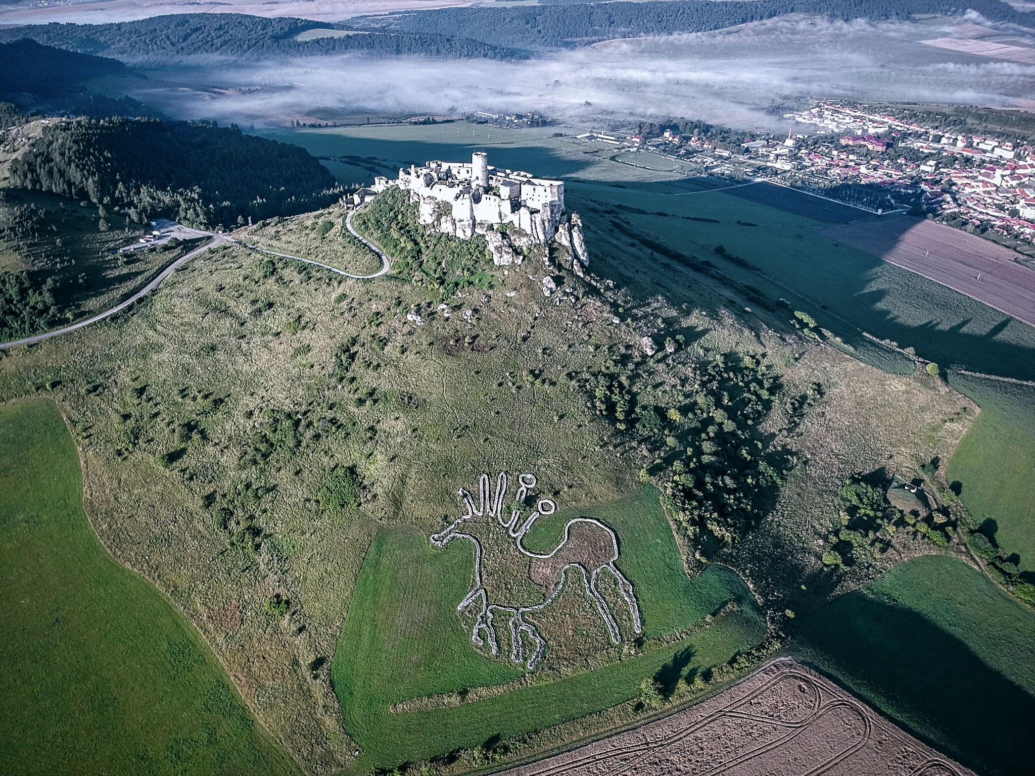 Spiš Castle - bird perspective