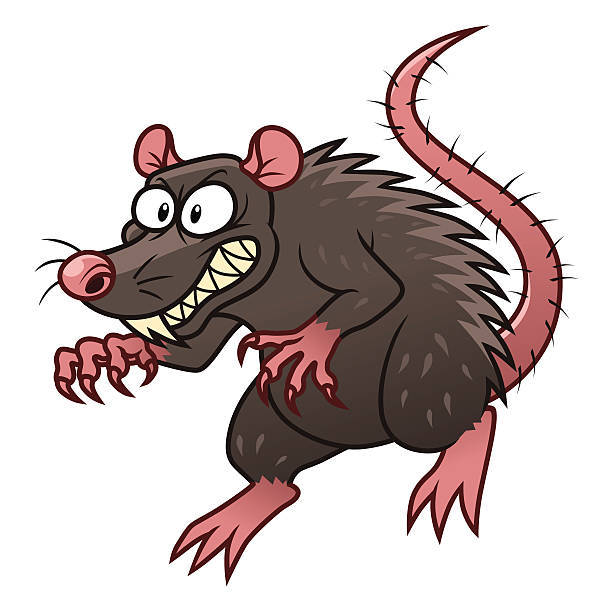 Sewer rat