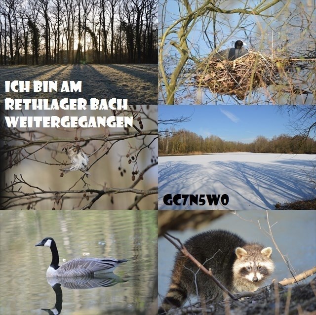 Am Rethlager Bach