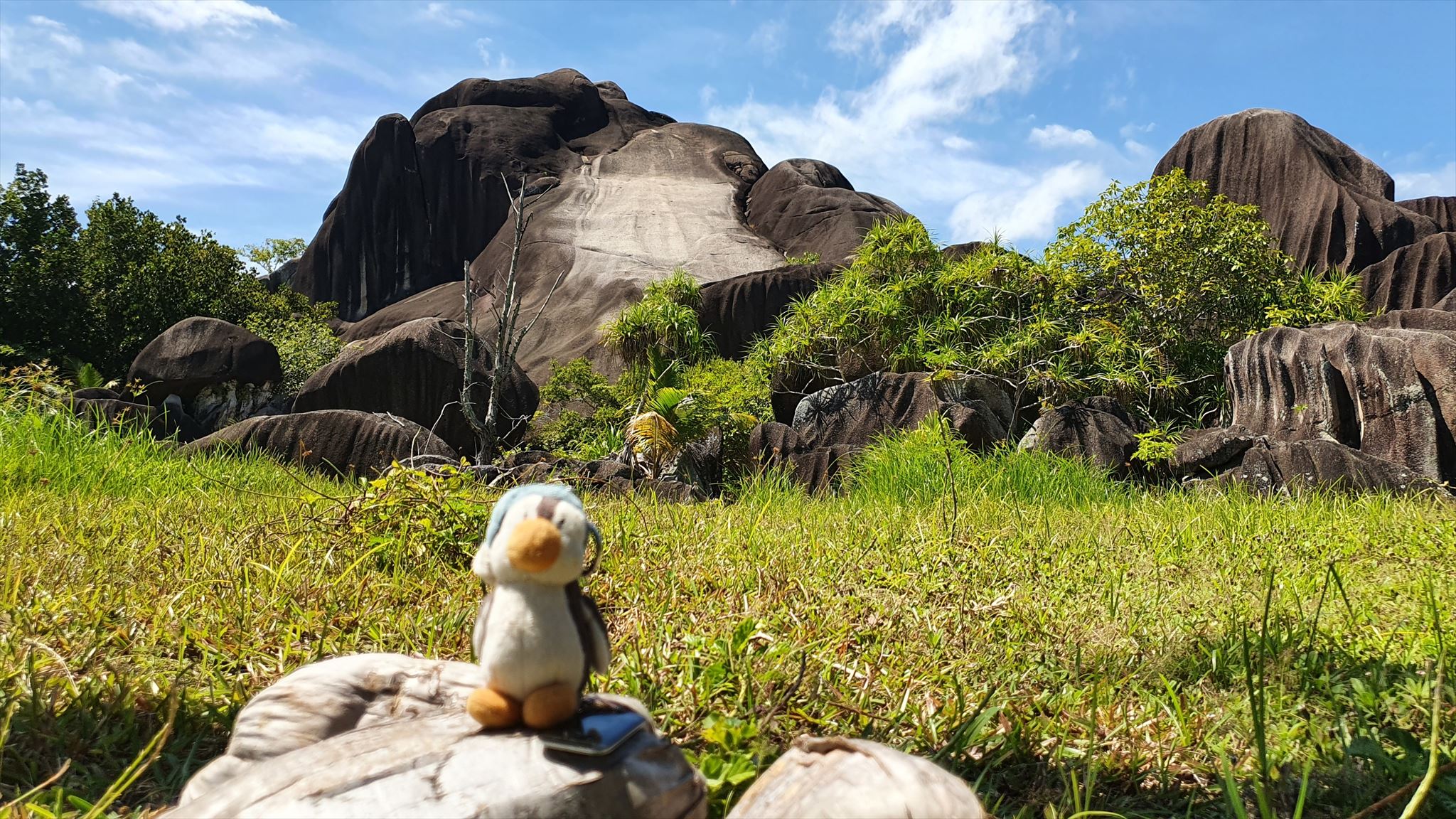 Pete at Giant Union Rock